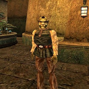 Morrowind Walkthrough – 100 % baigta
