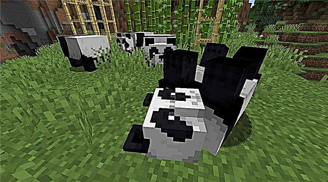 Minecraft Kaip veisti Panda?